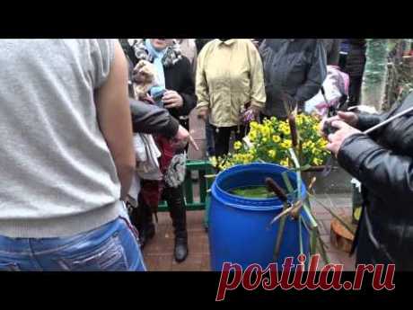 Городок Дожинки 2014 Часть 1