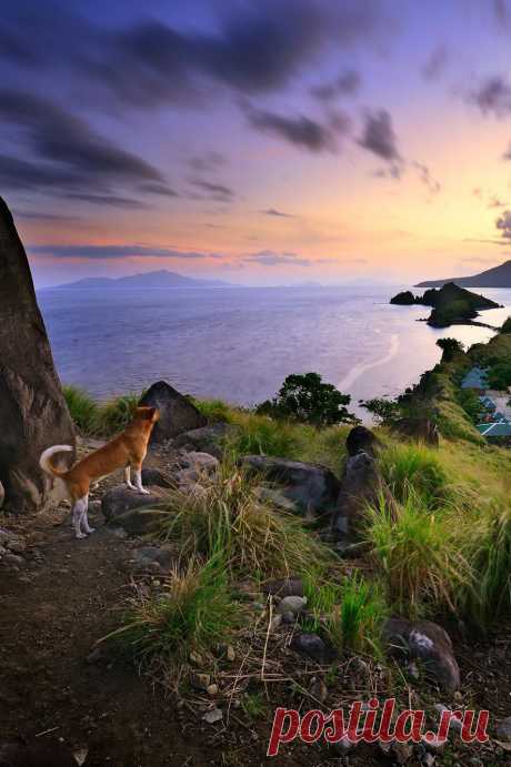 моря и реки