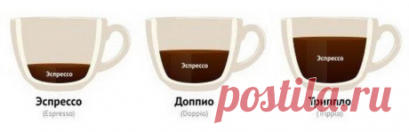 Шпаргалка для кофеманов