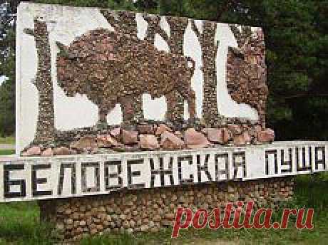 Туристический портал Беларуси: туры, отдых, путевки, турфирмы, автобусные туры по Европе из Минска. Раннее бронирование туров и проверенные отзывы на турфирмы и курорты