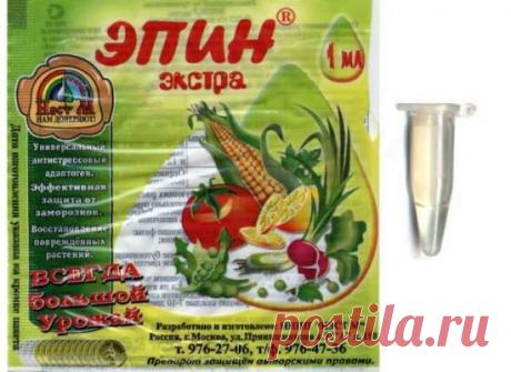 Лучшие стимуляторы роста корней растений: применение и характеристики корневина, инструкция, влияние на бутоны, ускоритель плодообразования, регулятор