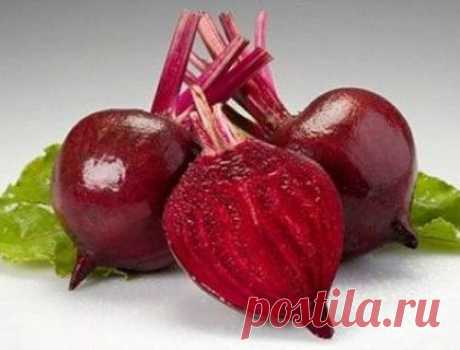 Консервирование яблок: соусы, приправы и закуски / Простые рецепты