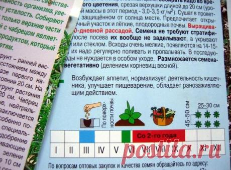 Выбор семян: 10 распространенных ошибок