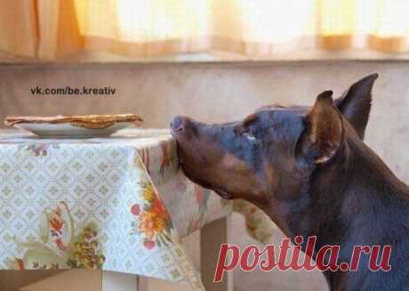 Самоконтроль. / Рукоделие