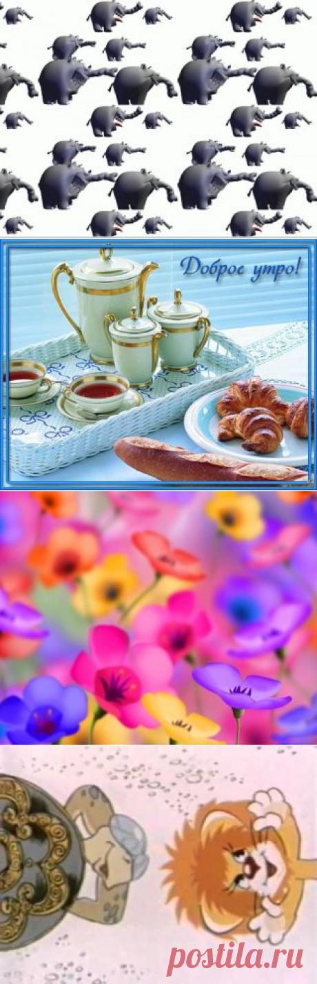 УТРО. ДОБРОЕ УТРО.