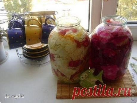 Капустный деликатес
•••подробнее
•••продолжение