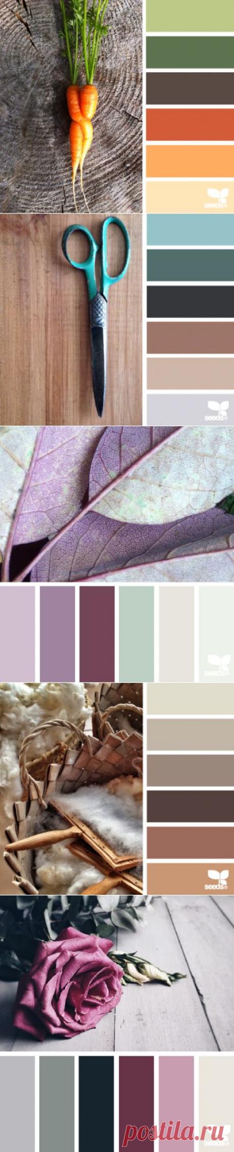 design seeds | search | for all who ♥ color