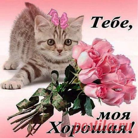 Музыкальная открытка - Люб..это...