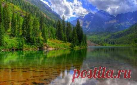 Твиттер / Уведомления