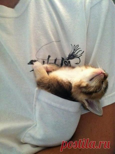 Бутоньерка!