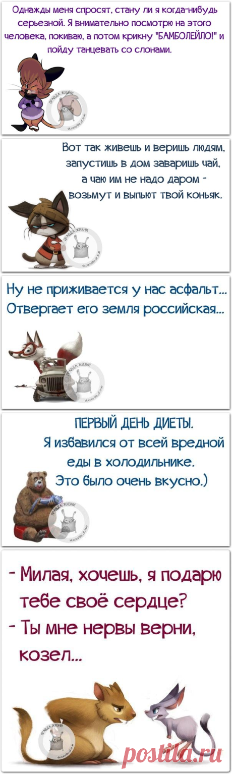 Пост метких фраз в картинках