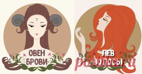 Самая привлекательная часть тела каждого знака Зодиака - Эзотерика и самопознание https://www.esotericblog.ru/2017/03/blog-post_65.html