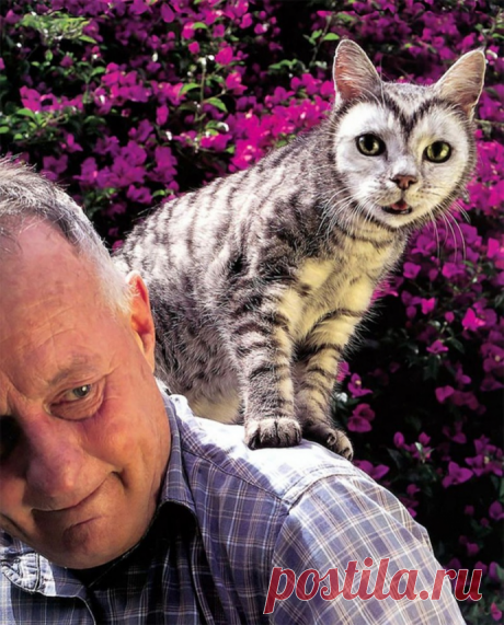 20+ кошек, окрас которых вас удивит