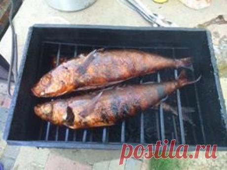 Как закоптить "красноглазку" на даче