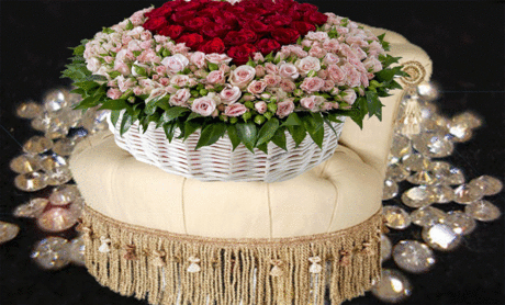 11599093.gif (Изображение GIF, 900 × 544 пикселов)