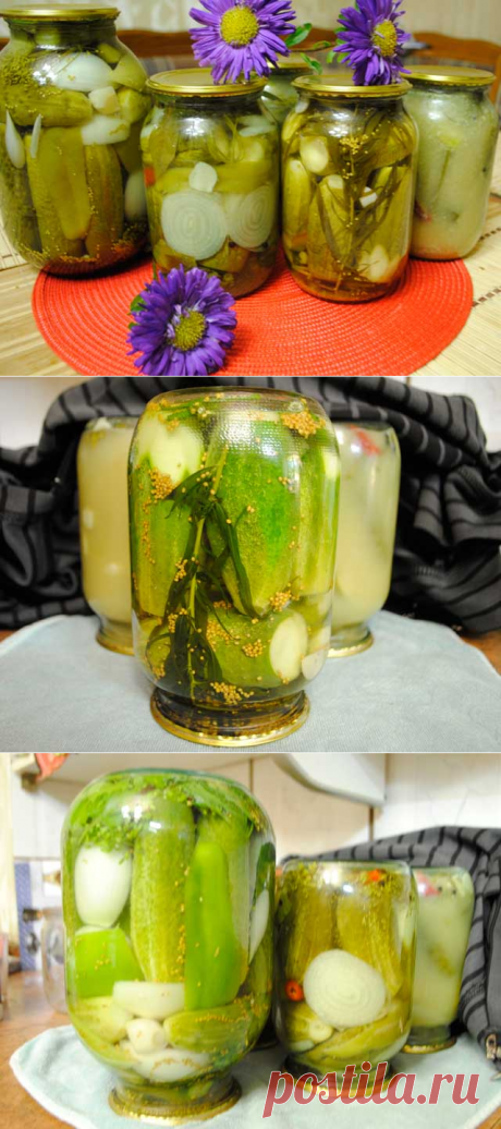 Огурцы с горчицей на зиму - 6 самых вкусных рецептов в банках