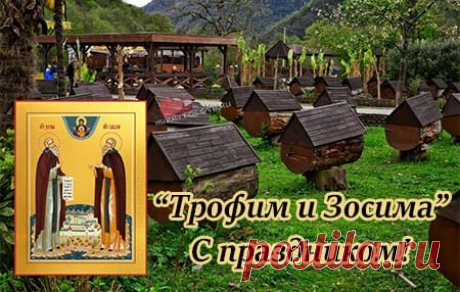 Желаю никогда не утрачивать оптимизм! Пусть мир будет добрым и милым, а люди вокруг — чуткими и отзывчивыми. Хорошего настроения! Открытки на праздник Трофима и Зосимы.