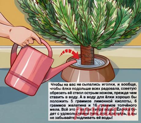 Чтобы елка подольше вас радовала