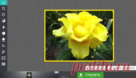 Editor.Pho.to - Фоторедактор онлайн. Обрезать фото. Рамки, эффекты и фильтры Тут обработала фотографию РОЗА в рамке
Фото эффекты
Ретушь лица
Фоторедактор
Коррекция
Мультяшки
Еще!
Блог