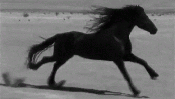 Erol K – Google+
