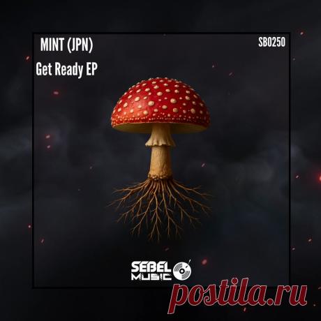 VIP - MINT (JPN) - Get Ready EP | DJ | SoundMasters | Service