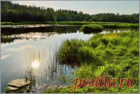 ОТРАЖЕНИЕ СОЛНЦА