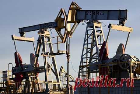 Оценены последствия для российского бюджета от налоговой реформы с нефтью. При текущих ценах на нефть налоговый маневр в отрасли не увеличит доходы российского бюджета, последствия оценили аналитики консалтинговой компании KPMG. Доходы, которые бюджет получит от отмены экспортной пошлины на нефть в 2024 году, он вернет переработчикам через обратный акциз на нефть и демпфер.