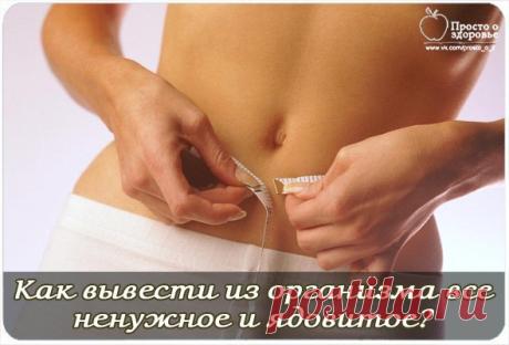 КАК ВЫВЕСТИ ИЗ ОРГАНИЗМА ВСЕ НЕНУЖНОЕ И ЯДОВИТОЕ?.