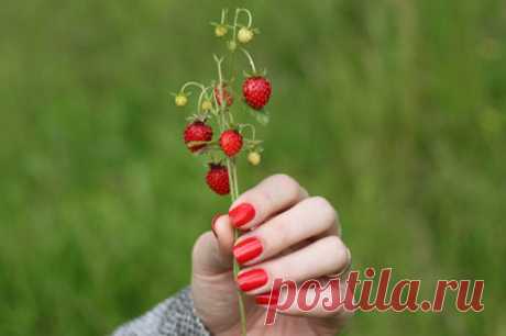 Как ухаживать за руками | Эффективное похудение. Все виды диет