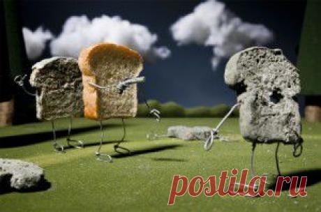 Как убить насмерть свой бизнес | Блог Марины Удовенко