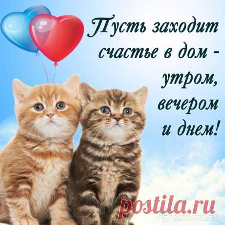 Живет пусть счастье в каждом вдохе
И в мелочах, что окружают,
И в ежедневной суматохе,
Как солнца лучик, согревает!