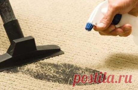 Чем выводить пятна на коврах?