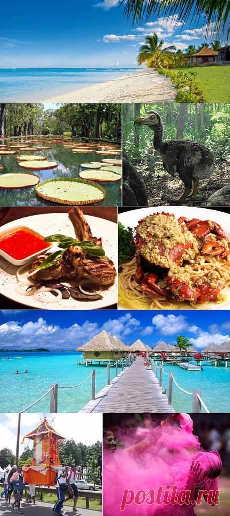 Маврикий — сказочный остров и изумительное место отдыха