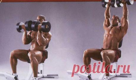 Всего три упражнения, которые сделают плечи сильными