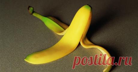 Как подкормить цветы банановой кожурой