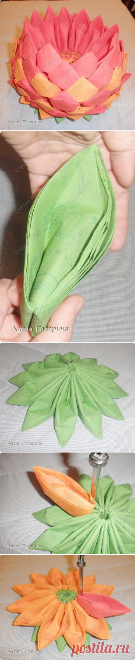 Цветы из … салфеток — Рукоделие