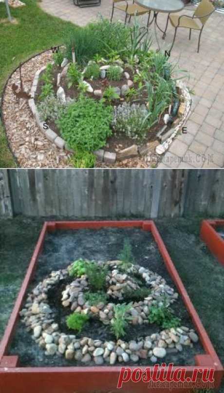 Спиральная грядка для пряных трав.