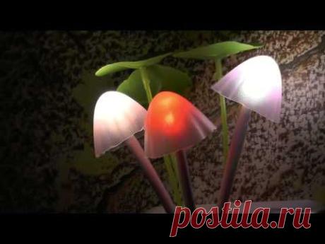 Из Китая посылка №156 Ночная LED подсветка. Декор RGB. Грибочки. ZikValera - YouTube