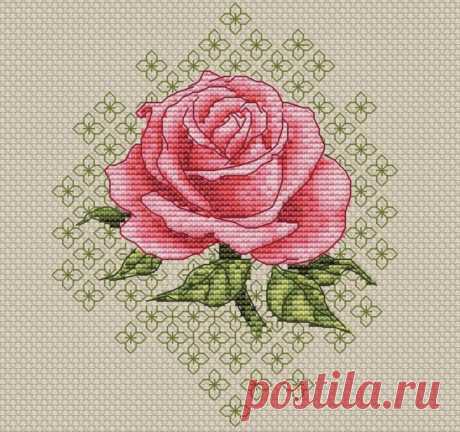 «роза» — схема вышивки