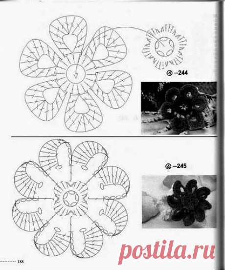 %E5%9B%BE%E5%83%8F+(114).jpg (427×512)