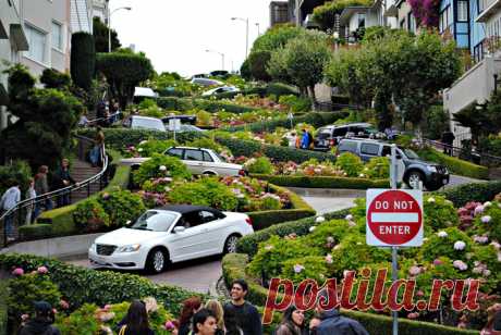 Самая кривая в мире улица в Сан-Франциско (США)