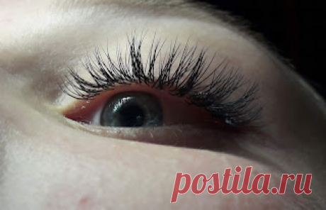 Lashmaker: How to glue tape eyelashes step by step: tips and instructions