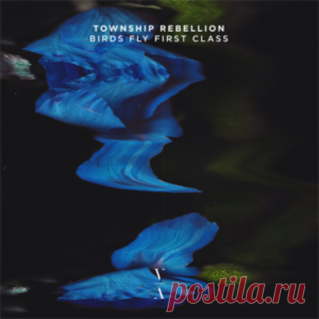 Township Rebellion - Birds Fly First Class | 4DJsonline.com