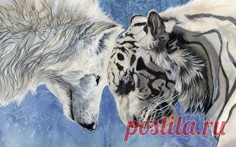Обои Белый волк с белым тигром на рабочий стол, страница