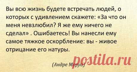 Как надо вести себя с теми, кто вас не любит: смешной ответ от Владимира Жириновского | Игра в Блог | Дзен