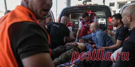 Как сфабрикованы данные «минздрава Газы» о погибших палестинцах. Анализ американского профессора статистики