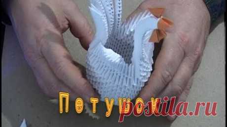 Модульное оригами. Петушок.(3D origami)