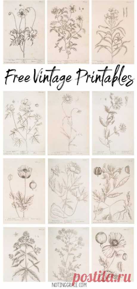 Free Vintage Printable Artwork