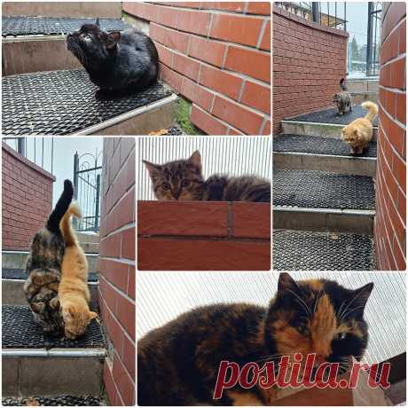 Декабрь в Калининграде