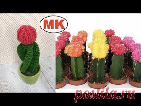 МК: МОДНЫЙ КАКТУС КРЮЧКОМ. ГИМНОКАЛьЦИУМ.  CROCHET CACTUS